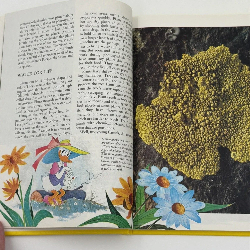 Disney Wonderful World of‎ Knowledge Books Vol 1 2 Animals Nature Grolier 1986